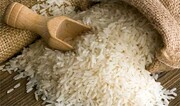 قیمت مصوب برنج در بازار چند؟