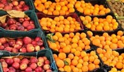 نرخ مصوب سیب و پرتقال اعلام شد / سیب و پرتقال میادین ارزان‌تر است یا تنظیم بازار؟