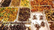 استفاده از حشرات در رژیم غذایی مفید است!