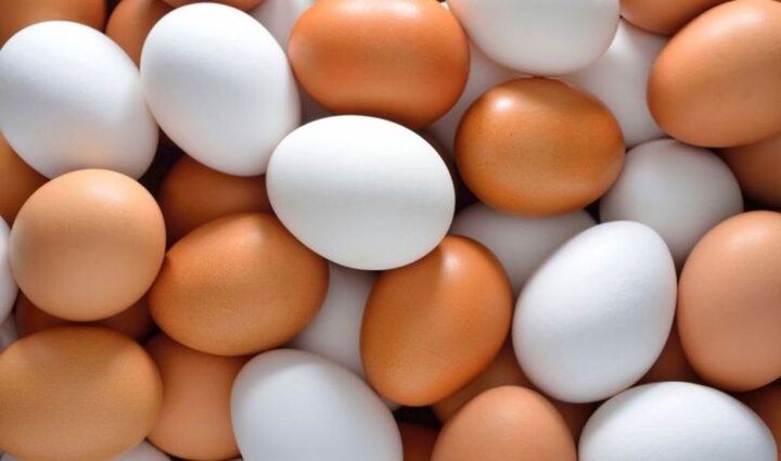 جدیدترین قیمت هر شانه تخم‌مرغ در بازار 