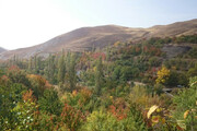 دیزباد روستای صد در صد باسواد ثبت شده یونسکو