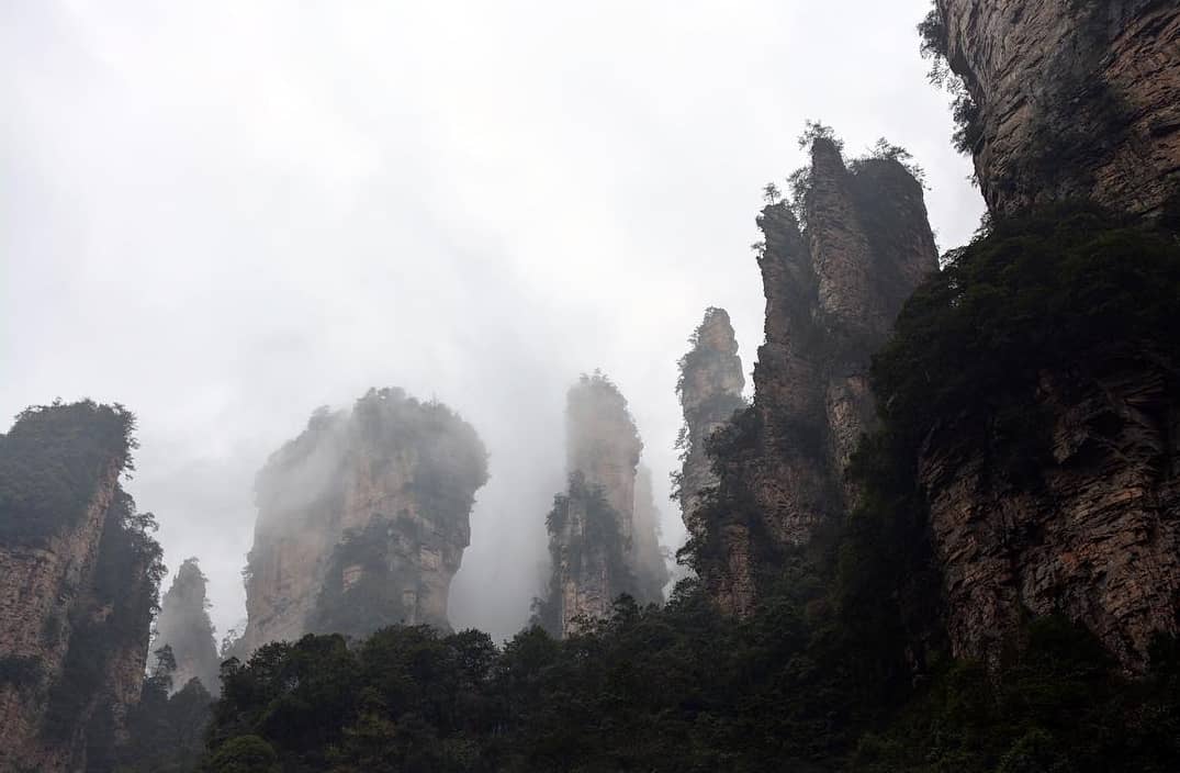 گم شدن ژابیز در کوهستانی در چین