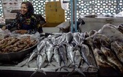 ماهی هم از سفره شب عید حذف شد/ هر کیلو ماهی در بازار ۴۰۰ هزار تومان