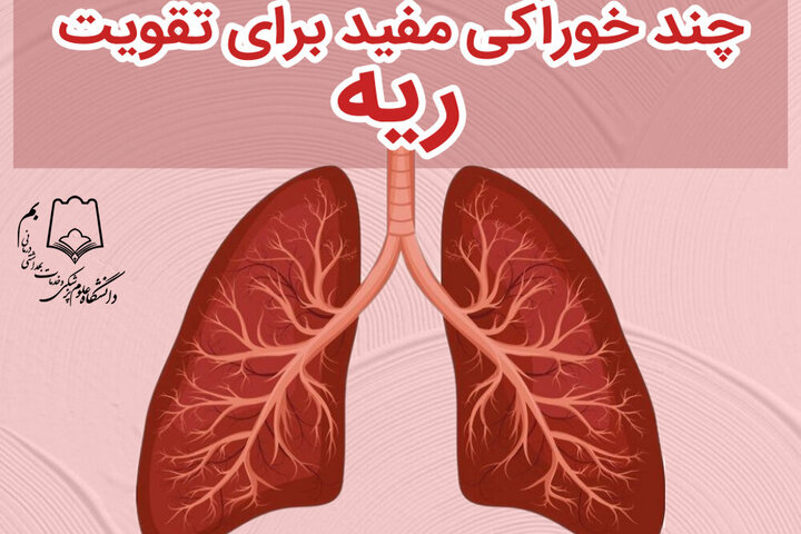 خوراکی ها مفید برای ریه در دوران کرونا | تقویت ریه با مصرف چند خوراکی / عکس