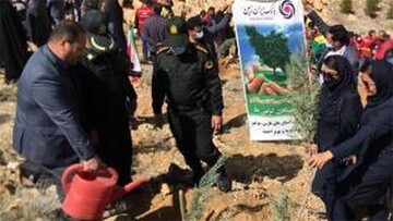 همراهی پرسنل بانک ایران زمین، در مراسم درختکاری