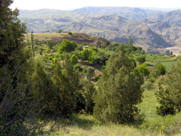 کزج؛ روستایی با معماری پلکانی 