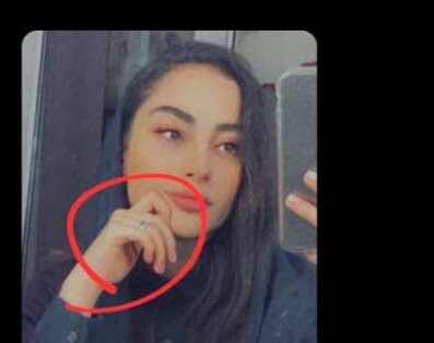 ترلان پروانه