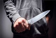 قتل وحشیانه زن ۳۸ ساله و کودک ۳ ساله در استان البرز