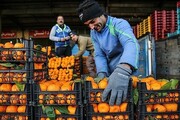 قیمت سیب و پرتقال تنظیم بازاری اعلام شد