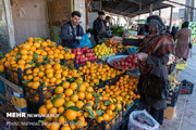 اعلام قیمت میوه‌های تنظیم بازاری در واپسین روزهای سال