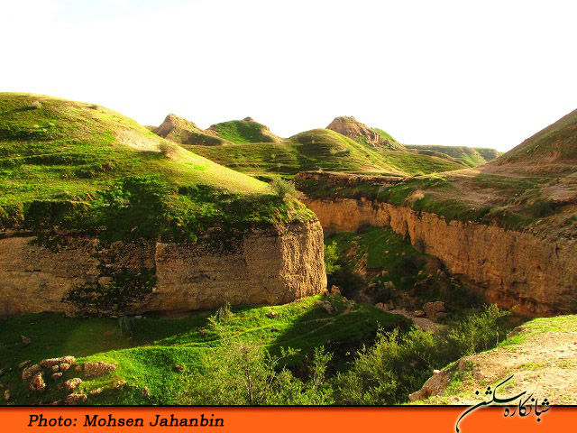 آیا به چشمه بیدو شبانکاره سفر کرده‌اید؟ 