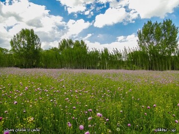 بولاغلار تفرجگاهی زیبا در اردبیل