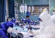 روند افزایشی بستری‌های کرونایی در بیمارستان‌های استان بوشهر
