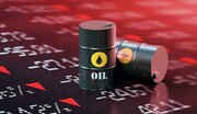 قیمت نفت در بازارهای جهانی افزایش یافت / فیلم