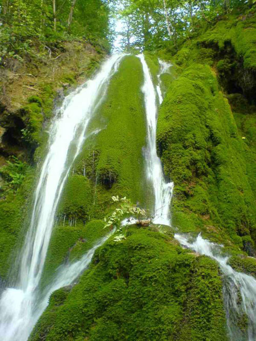 بولا آبشاری تمام خزه‌ای در مازندران 