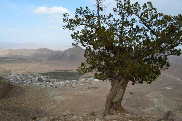 باجگان روستایی با معماری سنگی