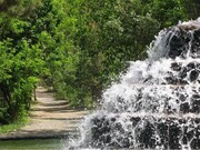 مجازی به پارک جنگلی خلیل آباد سفر کنید