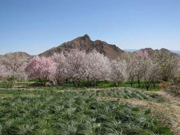 باجگان روستایی با معماری سنگی باجگان روستایی با معماری سنگی