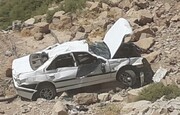 مصدومیت هفت نفر درپی واژگونی خودرو در نمین