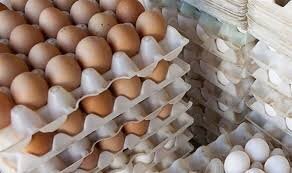 کشف انبار تخم مرغ‌های احتکار شده در کرمان