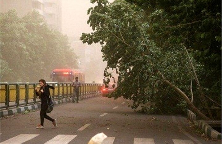 وزش باد خیلی شدید و گرد و خاک در تهران