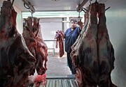 افزایش عجیب و غریب قیمت گوشت در روزهای اخیر / قیمت گوشت در تهران به ۲۰۰ هزار تومان رسید!