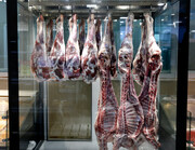 افزایش عجیب و غریب قیمت گوشت با شروع ماه رمضان/ هرکیلو  ۲۰۰ هزار تومان