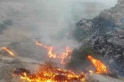 ته سیگار ۱۵ هکتار از بستر رودخانه ارس را به آتش کشید