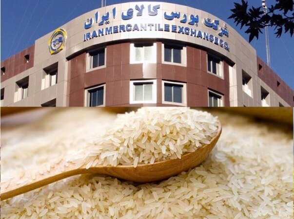 جزییات خرید برنج از بورس کالا