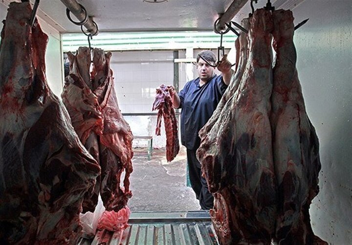 افزایش عجیب و غریب قیمت گوشت در روزهای اخیر / قیمت گوشت در تهران به ۲۰۰ هزار تومان رسید!