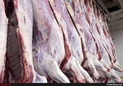 مصرف گوشت قرمز ۵۰ درصد کاهش یافت!