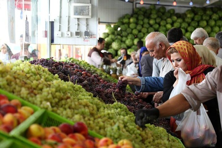 کاهش خرید میوه در ایام نوروز تایید شد / ۶۰ درصد از بوته‌های هندوانه نابود شد!