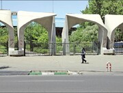 واکنش دانشگاه تهران به ماجرای قطع ۲۰۰ درخت: دروغ است