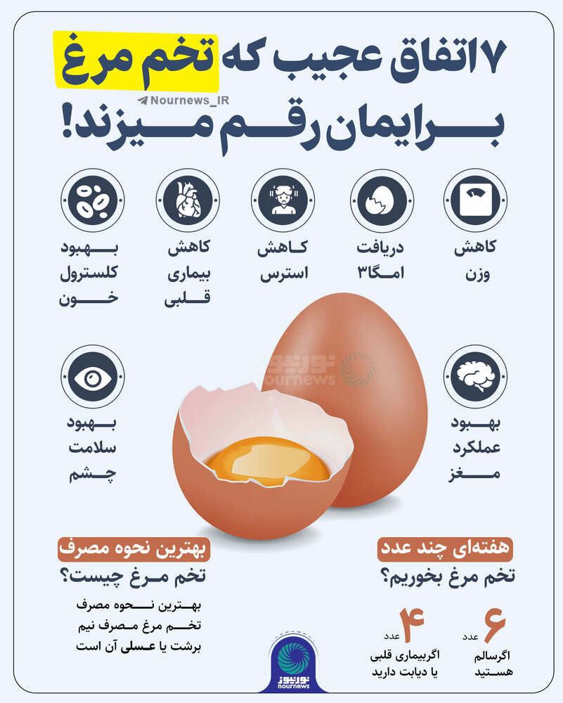 فواید باورنکردنی کصرف تخم مرغ برای بدن | هفته ای چند عدد تخم مرغ بخوریم؟ / عکس