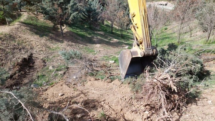 تصاویر جدید از قطع ۲۰۰ درخت در تهران!