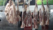 کاهش قیمت گوشت در بازار / رئیس اتحادیه: تقاضا برای خرید گوشت به شدت کاهش یافته است