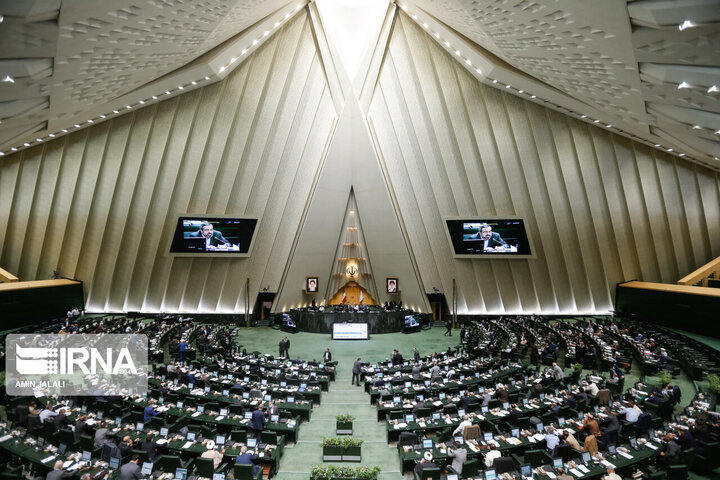 پوشش عجیب نماینده تهران در جلسه مجلس / عکس