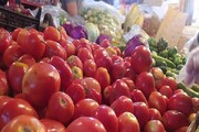 گوجه فرنگی از ماه آینده ارزان می شود