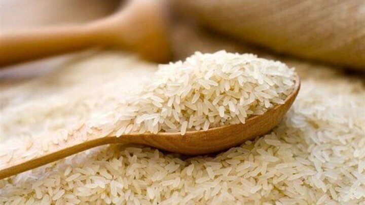 قیمت برنج از ۱۰۰ هزار تومان گذشت / علت گرانی برنج چیست؟
