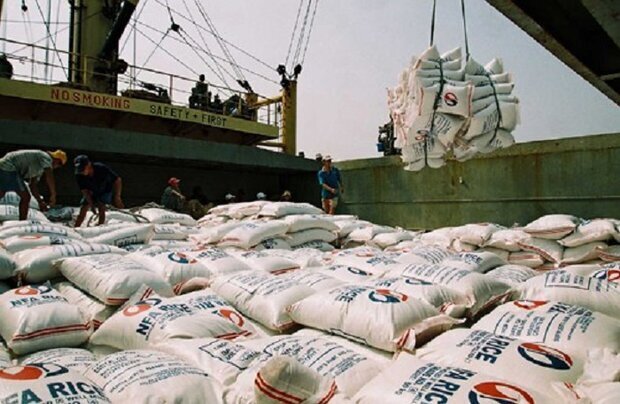 برنج خارجی باز هم گران می‌شود؟