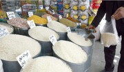 توزیع برنج یارانه‌ای در سراسر کشور / هر کیلو ۱۲هزار تومان