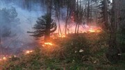 آتش زدن درختان به بهانه تغییر کاربری در جنگل‌های سیاهکل / فیلم