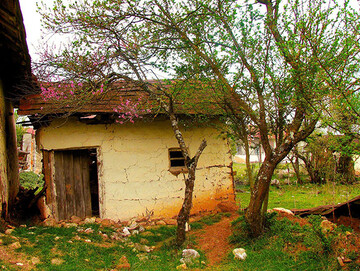 روستای پاشا کلا مقصدی مناسب برای گردشگری
