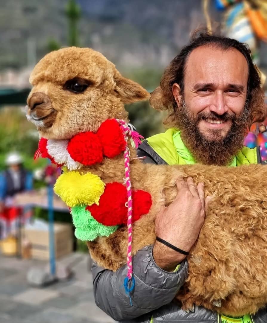 دیدن حیوانات اهلی شده در ارتفاعات پرو، روایتی از یک جهانگرد