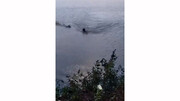 ویدیو هولناک از لحظه حمله تمساح به مرد شناگر در رودخانه