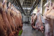 قیمت‌ گوشت در بازار ایران منطقی نیست / گوشت از دامدار ۶۵ تا ۷۵ هزار تومان خریداری می‌شود
