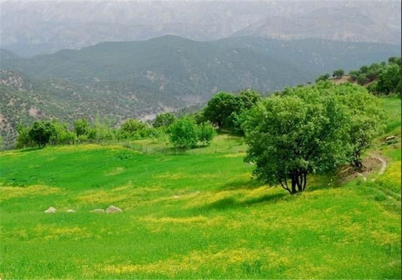 بازفت در کوهرنگ