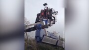 این ربات های عجیب جایگزین انسان خواهند شد! / فیلم