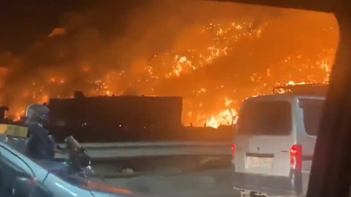 تصاویر هولناک از آتش سوزی جنگلی در دهلی نو / فیلم