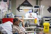 ثبت روز بدون فوتی کرونا در البرز | بستری ۲۵ بیمار جدید کرونایی در بیمارستان